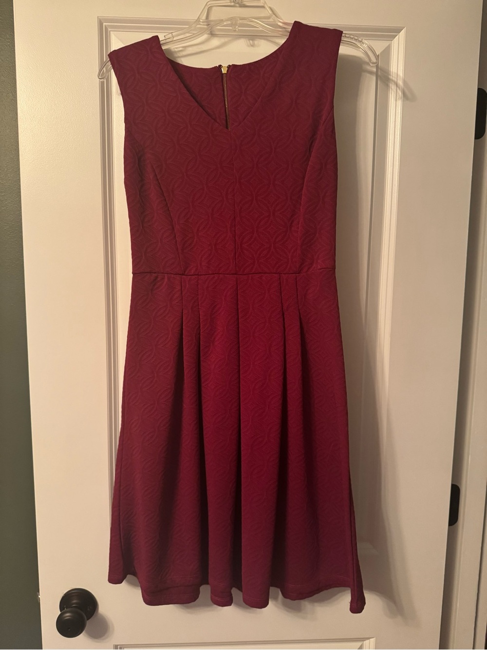 Sleeveless Textured Mini Dress in Burgundy